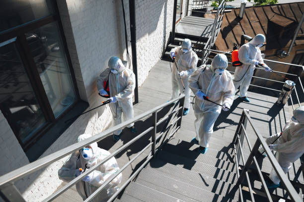 Best Forensic Mold Investigation  in Heber, UT