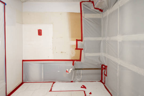 Best Post-Construction Mold Inspection  in Heber, UT