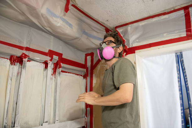 Reliable Heber, UT Mold Removal Solutions