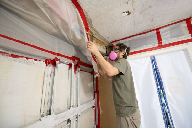 Mold Odor Removal Services in Heber, UT