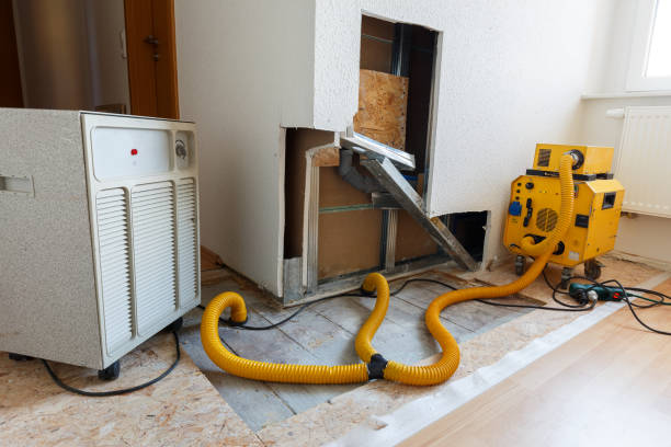 Best Mold Damage Restoration  in Heber, UT