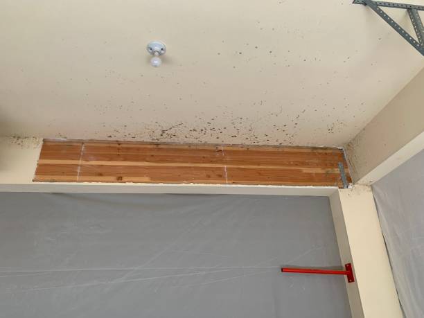 Mold Remediation for Rental Properties in Heber, UT